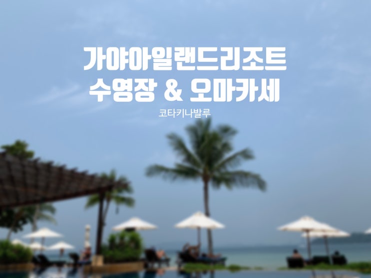  코타키나발루 가야아일랜드 리조트 수영장 스노쿨링 오마카세 후기 :)