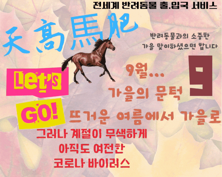  고양이 강아지 미국시애틀 카고 검역 반려동물 해외운송 [출국서류]픽업