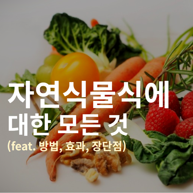 자연식물식에 대한 모든 것 (feat. 방법, 효과, 단점)/ 자연식물식다이어트/ 생식다이어트/ 채식다이어트