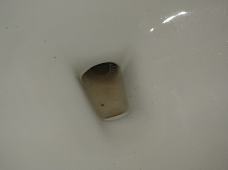  안산 초지동에서 욕조 거름망이 변기에 들어가서 막힘이 생겼어요