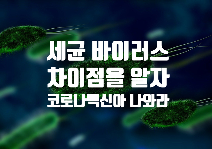  코로나는 세균인가 바이러스인가?