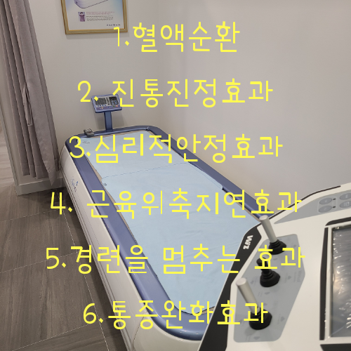  수치료