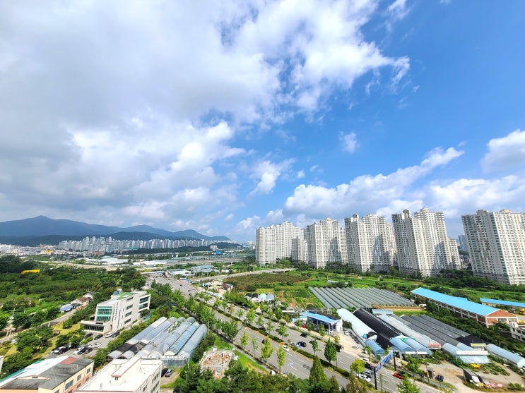  대전 장대 도시첨단산업단지 개발 현황 / 유성 한복판에 들어서는 엄청난 규모의 연구, 산업단지 / 1년째 삽 못뜨고 있는 이유