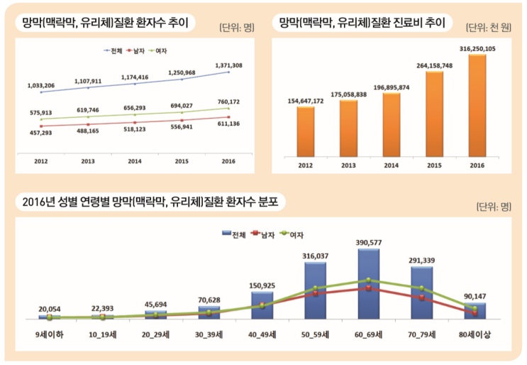  망막(맥락막, 유리체)질환