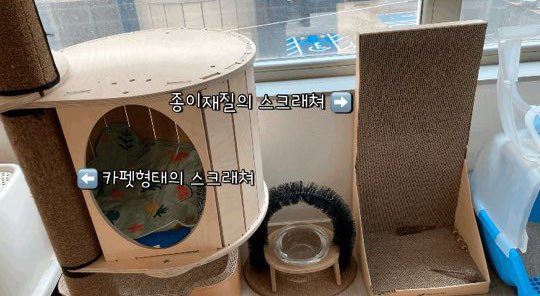  고양이 필수템 스크래쳐