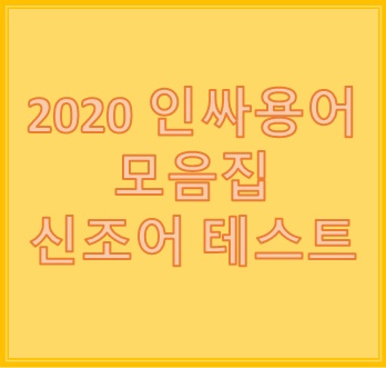 2020 인싸용어 신조어 테스트 모음집, 나는 몇 개나 알고 있을까?