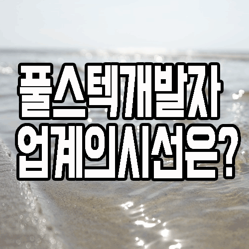  풀스텍개발자 : 현실적으로 취업이 가능한 분야일까?