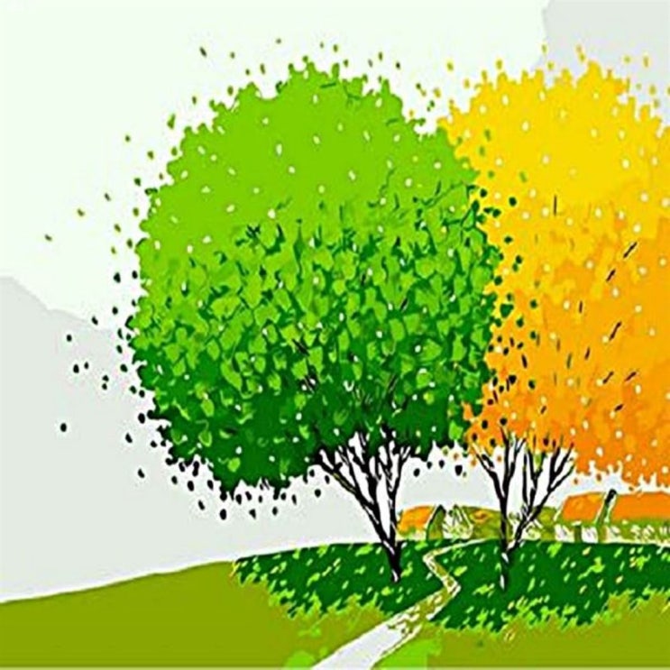 [할인정보] DIY 피포페인팅 Q476 행운의나무 시리즈 2020-08-28일기준 17,980 원~ 9% 할인!