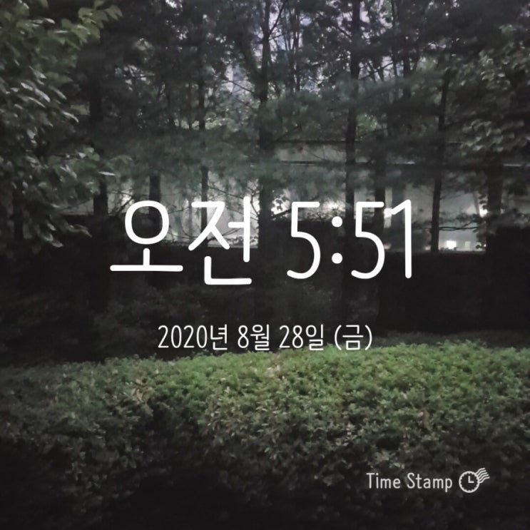 미라클모닝 ㅡ 모모 0828