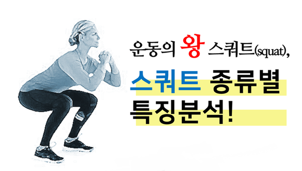  온라인 PT " 스쿼트 종류별 특징에 대해서"