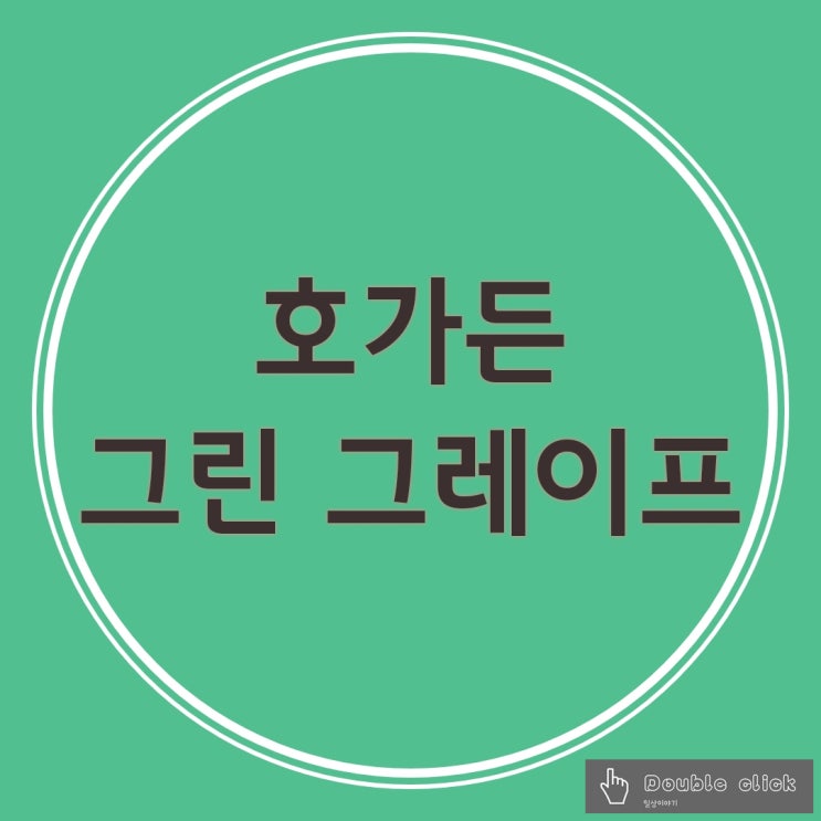  청포도 맛 맥주 호가든 그린 그레이프 리얼 후기