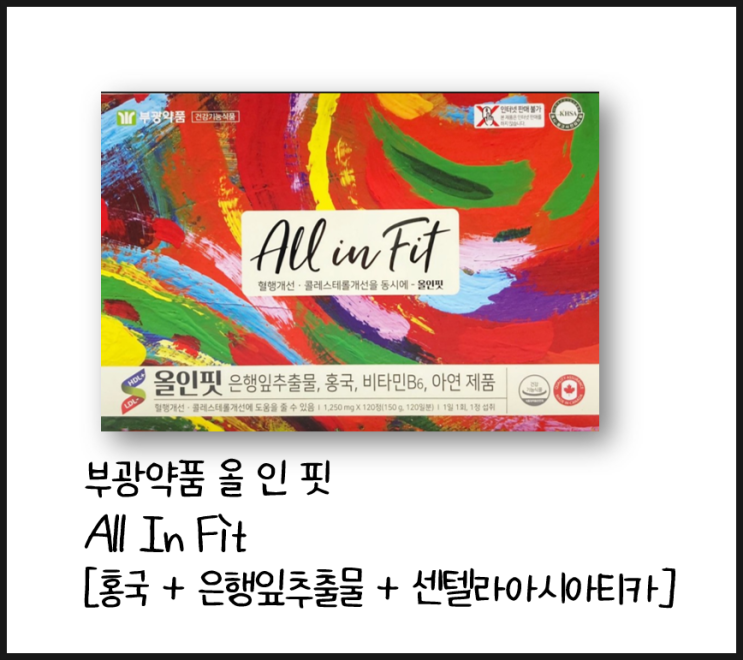  [올인핏] 혈행개선 + 콜레스테롤개선 (약국 은행잎추출물+홍국)