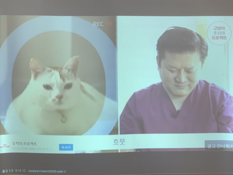  시흥 업소용 이벤트룸 빔프로젝터 100인치 스크린 후기