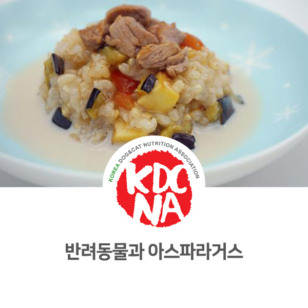  [강아지 고양이 음식 정보] 반려동물 아스파라거스 먹어도 되나요?_598