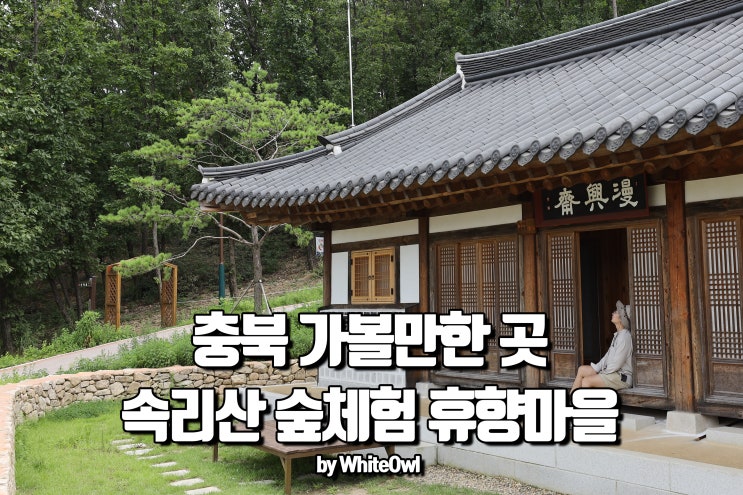  충북 가볼만한곳 속리산 숲체험 휴양마을에서 힐링 (feat 말티재 솔향공원 레일바이크)