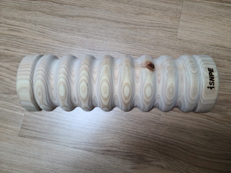  바른자세 척추운동 SNPE 웨이브베개 후기