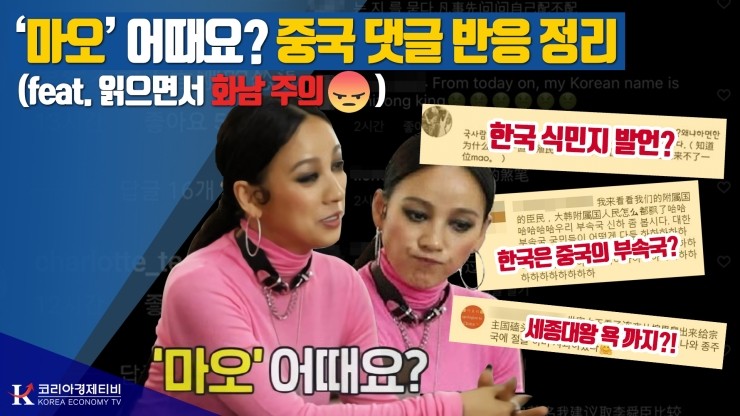  [코리아티비] 이효리 '마오' 발언, 넘어도 너무 선 넘은 중국 댓글 반응 정리
