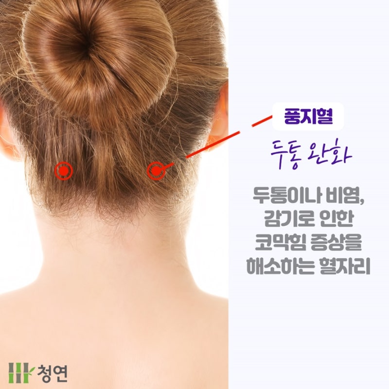풍지혈, 두통과 비염 증상을 완화하는 혈자리 지압법 : 네이버 블로그