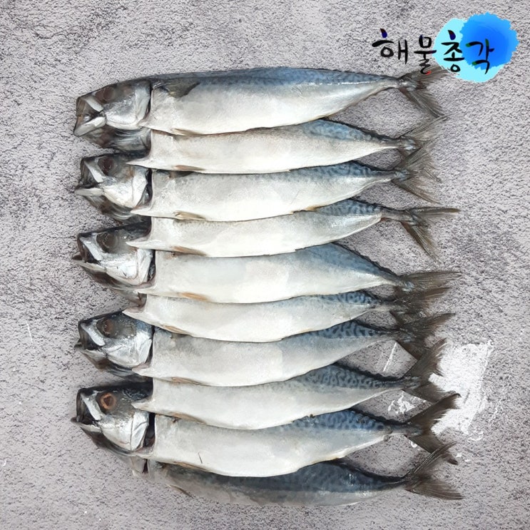  해물총각 간고등어 10마리 국내산 손질 자반고등어, 2.1kg