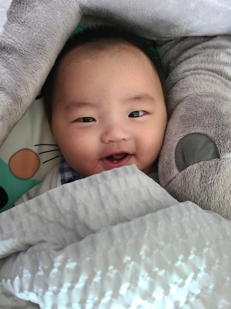  <공지드려요> 이웃 새글알림