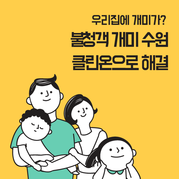  우리집에 개미가? 불청객 개미 수원클린온으로 해결