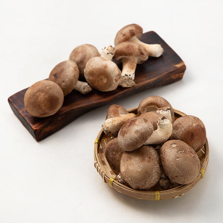 무농약 인증 표고버섯, 500g, 1봉