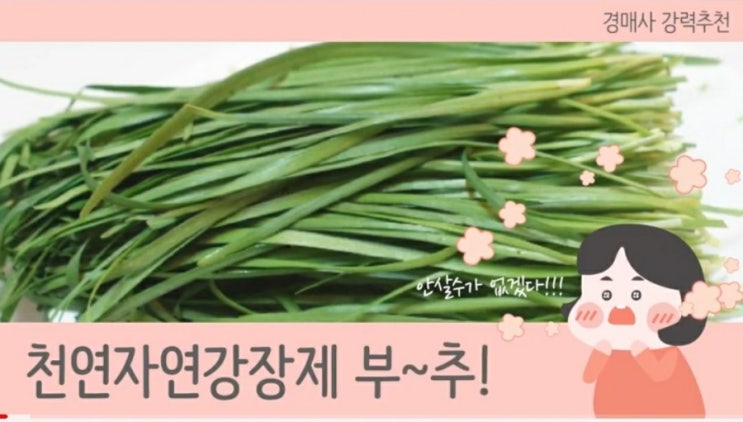  동절기 부추출하처 소개