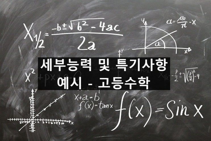 세부능력 및 특기사항 (세특) 예시 [고등수학]