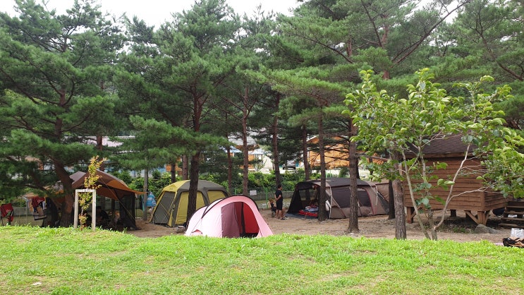  강원도 여름휴가 DAY2: 양양전통시장, 봄날은간다, 해담마을캠핑장