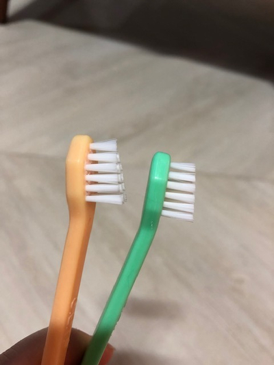  고양이 칫솔 - 버박 칫솔 후기