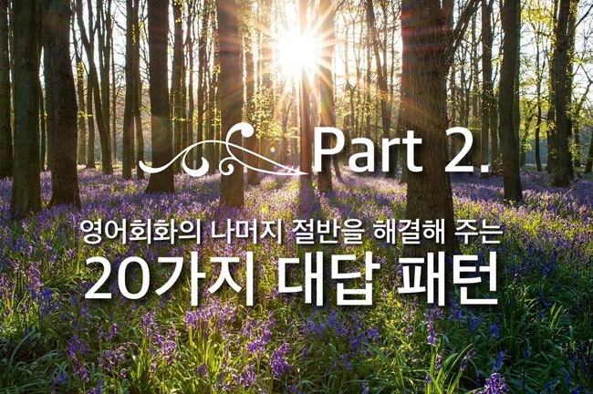  영어회화의 나머지 절반을 해결해 주는 20가지 대답 패턴