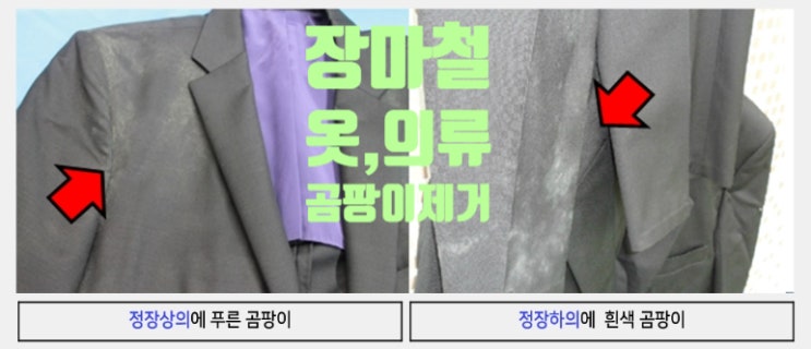  장마철 옷 곰팡이 제거 직접 하지 마세요! 그럼 어디다 맡기나?