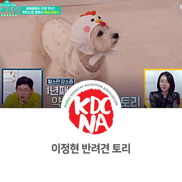  [연예인 강아지 고양이] 이정현 반려견 푸들 토리_601