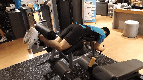  허리보호대 차고 헬스장에서 하체운동하기