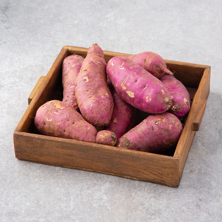  햇 밤고구마, 3Kg(특대), 1박스