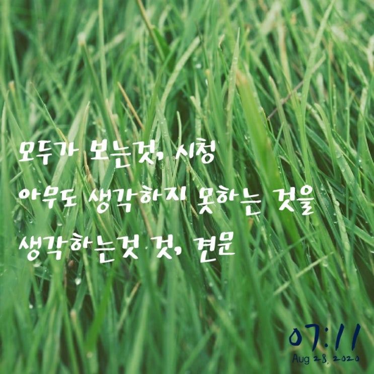  생각의 탄생은 보고 겪은 것에서 시작한다