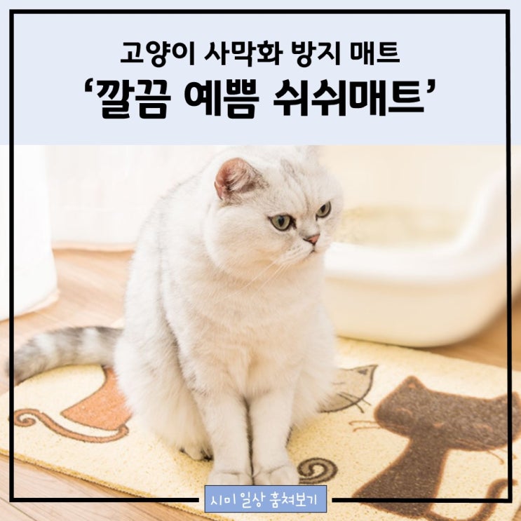고양이 사막화 방지 매트 추천_ 깔끔 예쁨 '쉬쉬매트'