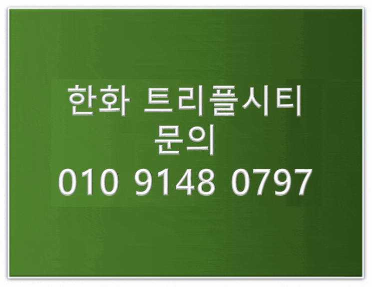  제주 한화 트리플시티 투자방향Ⅱ