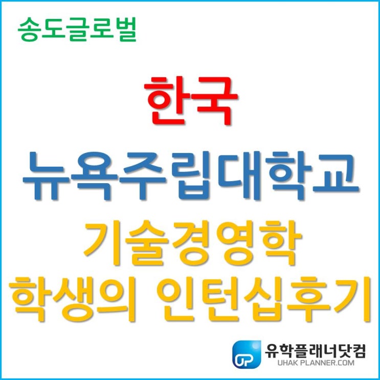  한국뉴욕주립대학교 기술경영학과 학생의 인턴생활 이야기! GO GO~
