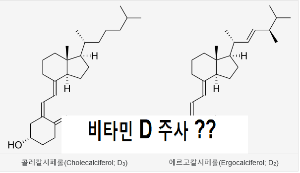 비타민 디 주사효능 과 추천 방법