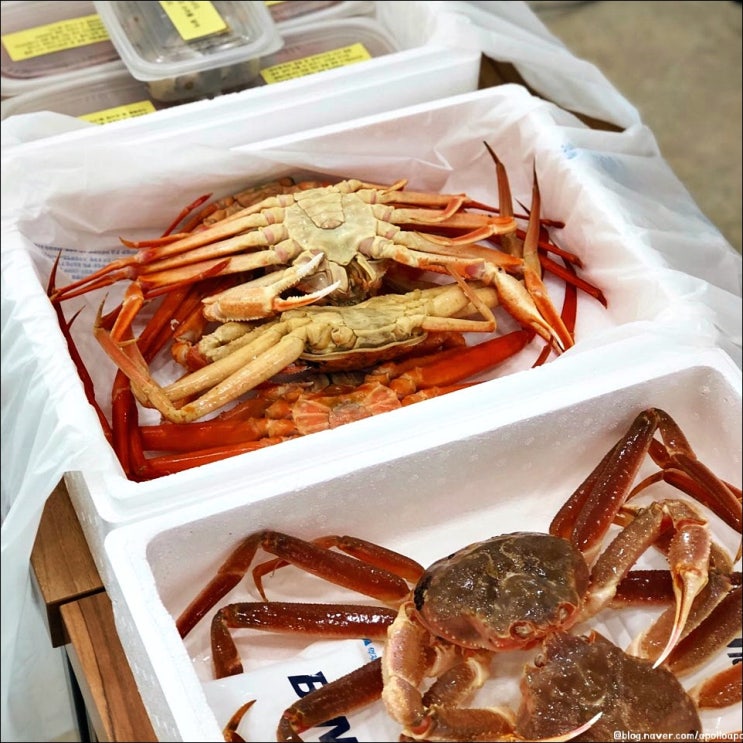  영덕맛집 영덕대게맛집 영덕숨은맛집 삼천포도매직판장