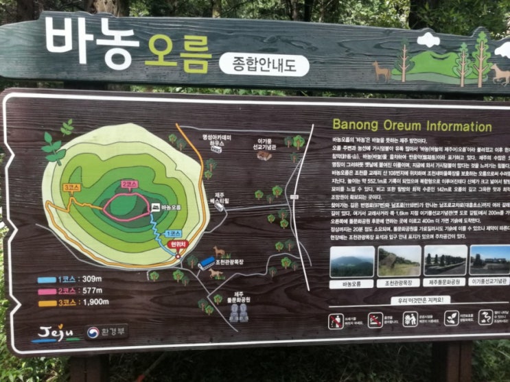 제주의 바늘 : 바농오름