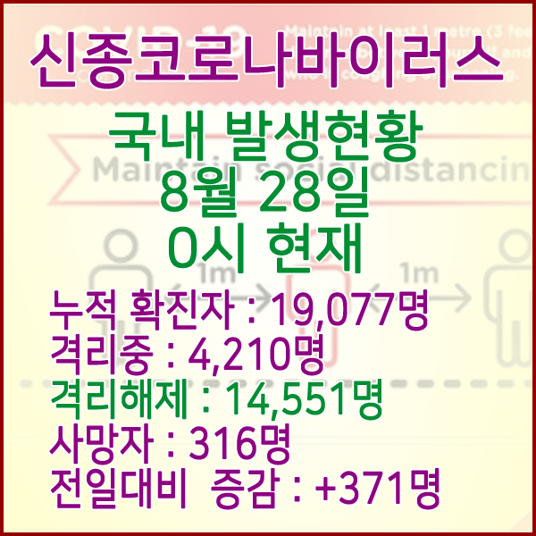  코로나19(코로나바이러스) 8월 28일 0시 국내(해외포함) 발병 19,077명 / 14,551명 완치 격리해제 / 사망자 316명