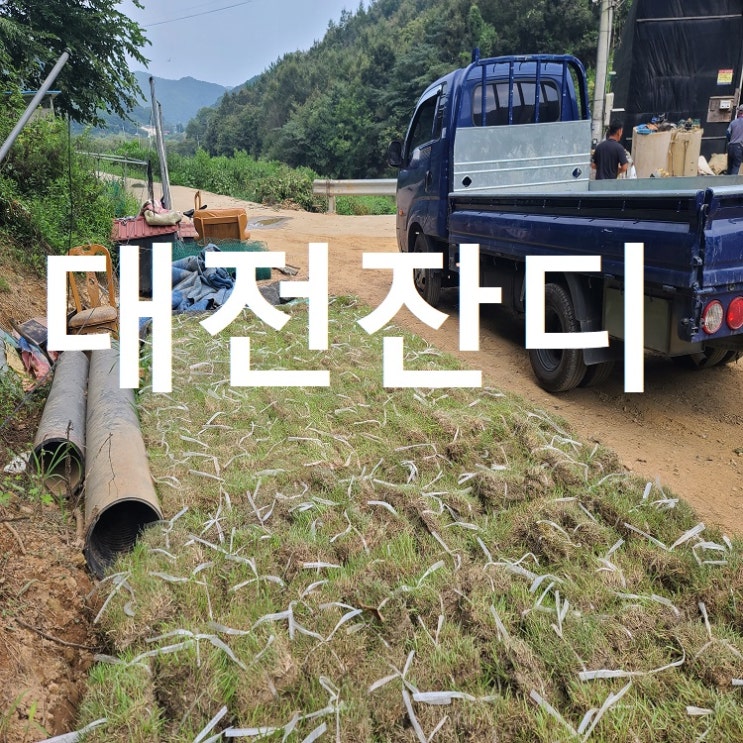  한국의 중앙 대전에 잔디 배송해드렸어요