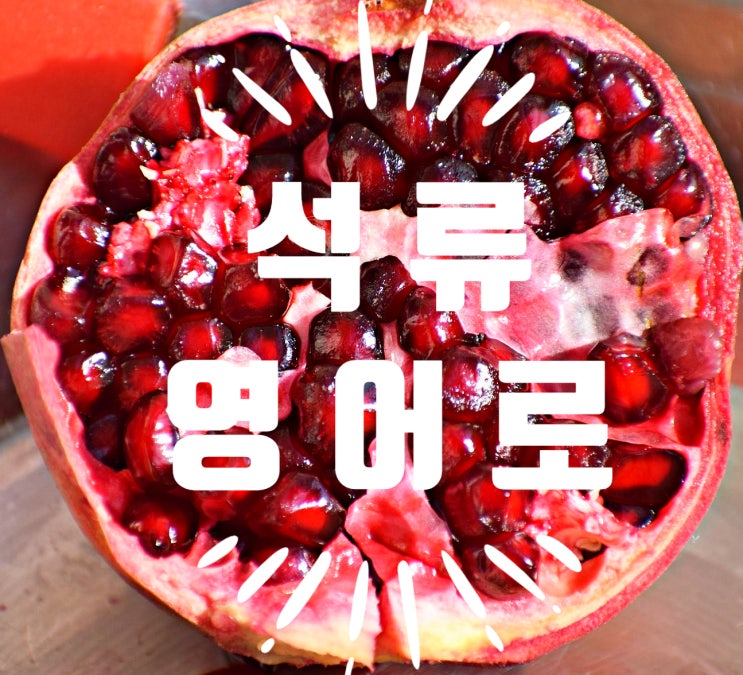  석류 영어로 검색하셨죠? 제가 쉽고 빠르게 간단히 알려드릴게요.