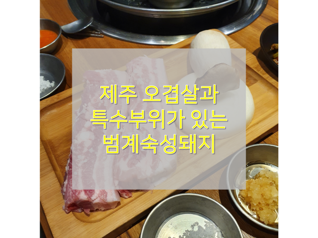  [범계고기집 맛집/범계숙성돼지] : 제주 오겹살과 돼지 특수부위가 있는 범계삼겹살 식당 추천!