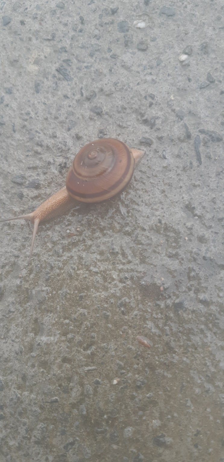 [냉풍욕장 할매농원] 오늘의 단상