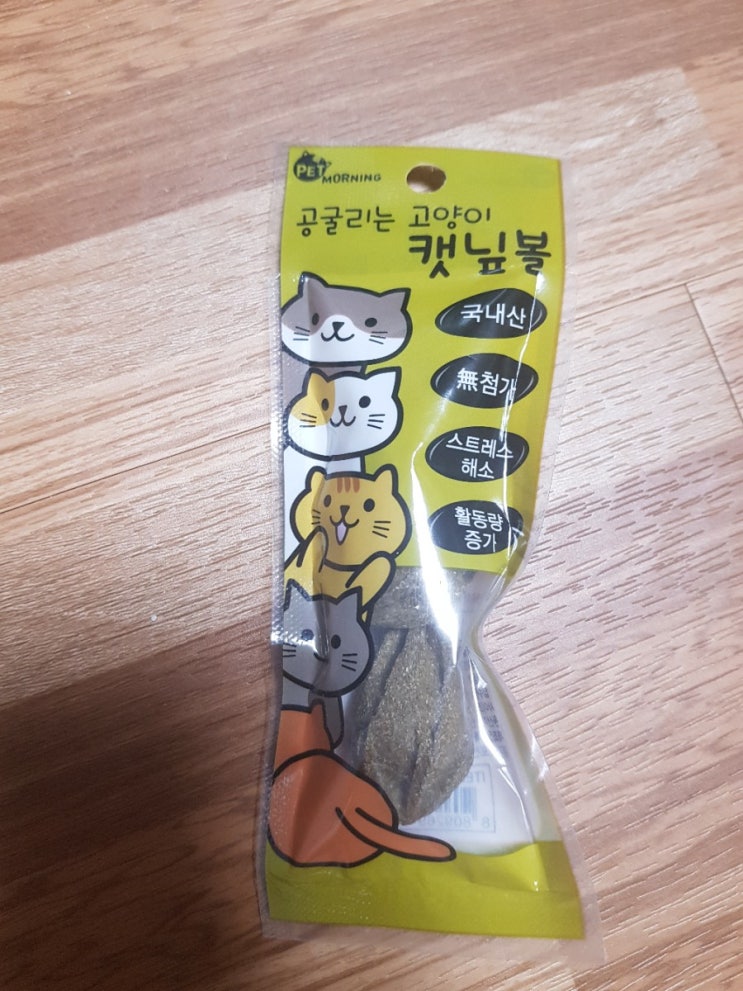  고양이 스트레스 해소