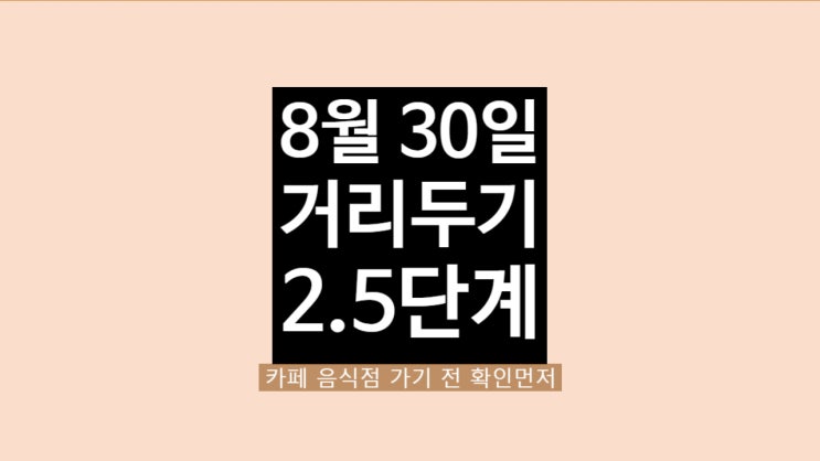  인천 경기도 서울 사회적 거리두기 2.5단계 음식점 카페 학원 회사 재택근무 헬스장 당구장 골프장 요양병원 면회