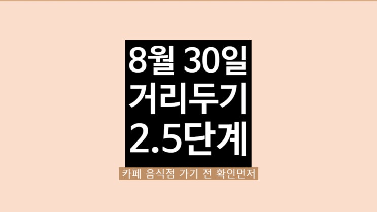 인천 경기도 서울 사회적 거리두기 2.5단계 음식점 카페 학원 회사 재택근무 헬스장 당구장 골프장 요양병원 면회